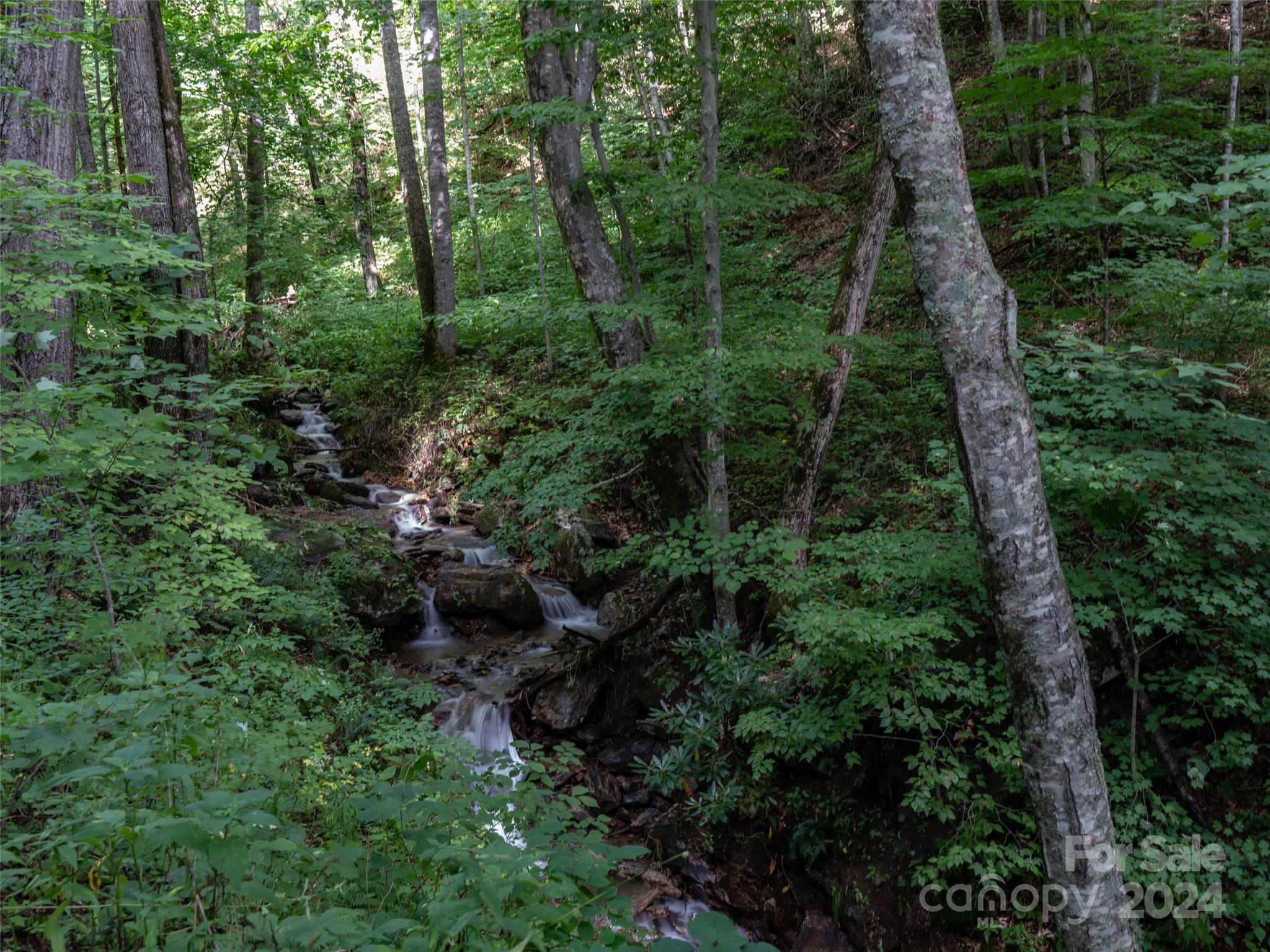 1001 Mountain Glen Road Canton, NC 28716 - Photo 40 of 47