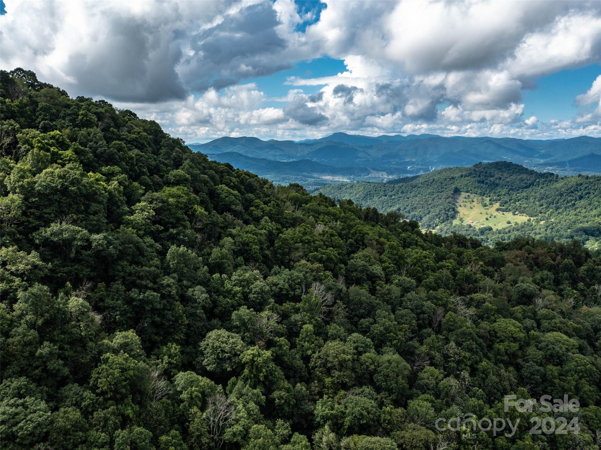 1001 Mountain Glen Road Canton, NC 28716 - Photo 42 of 47