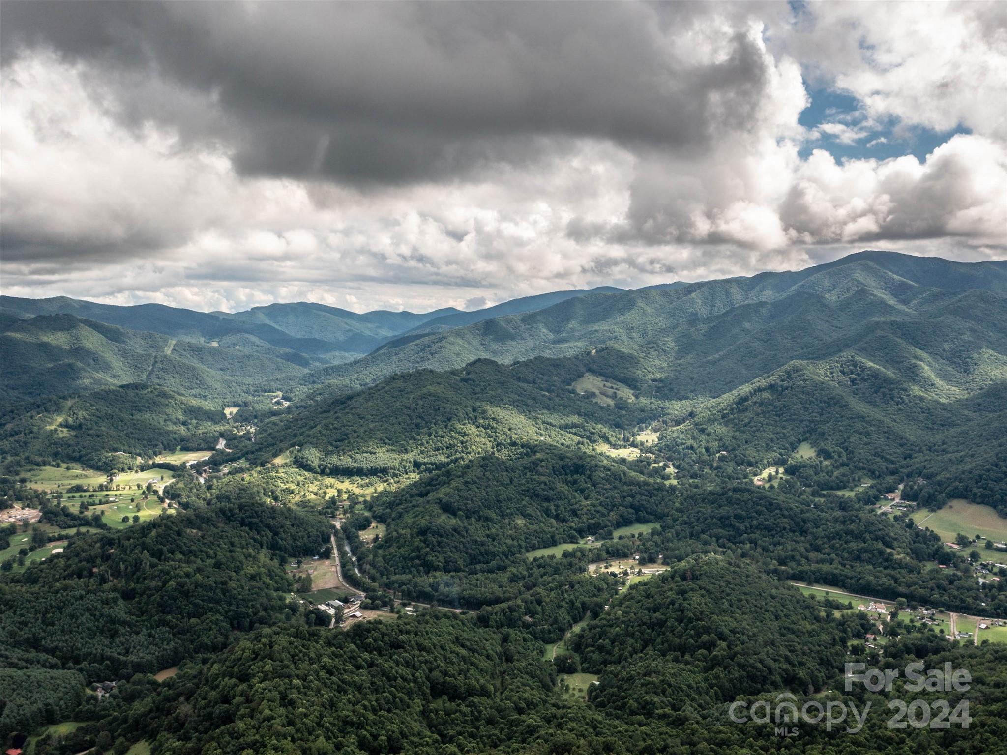1001 Mountain Glen Road Canton, NC 28716 - Photo 43 of 47