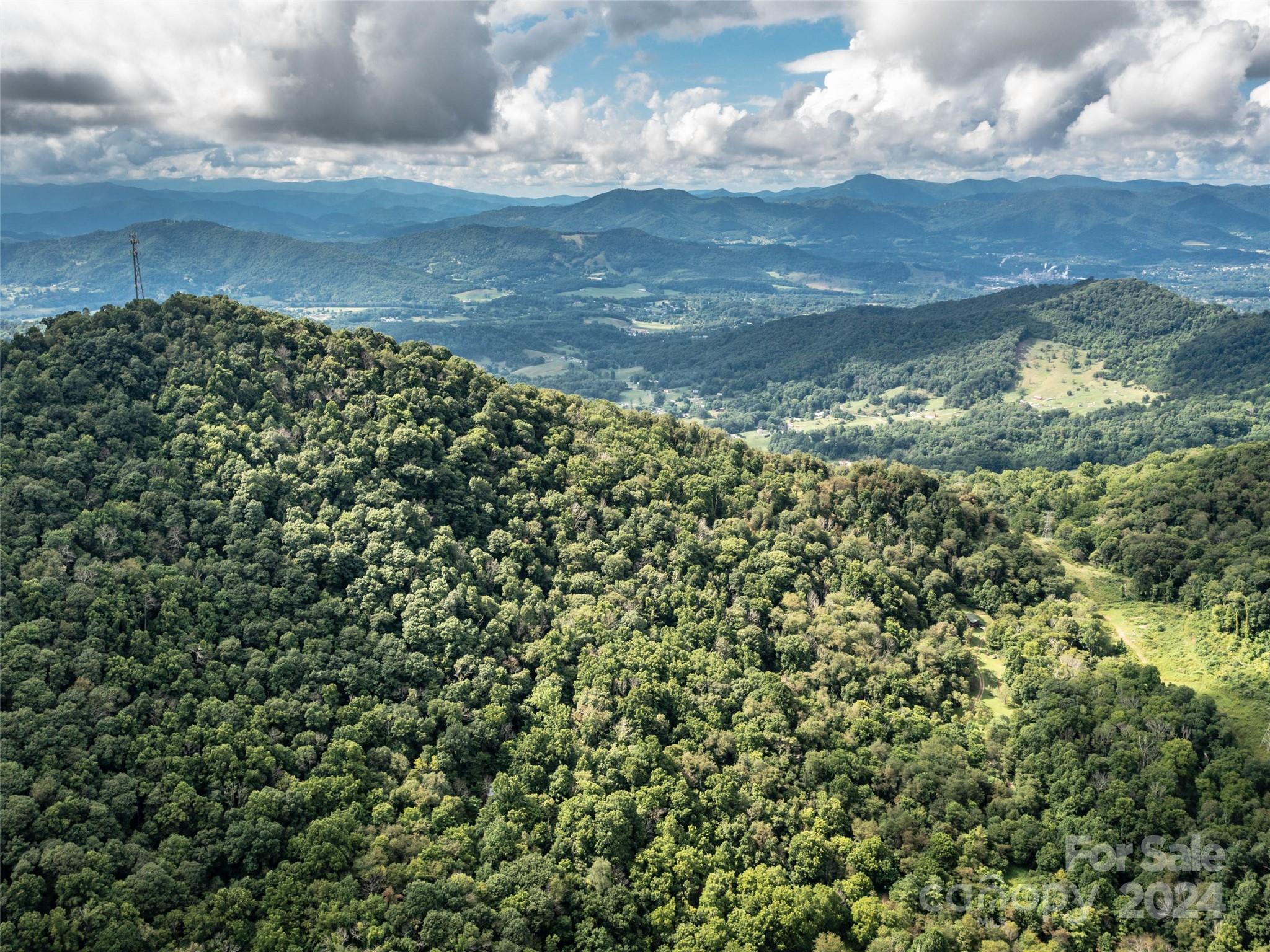 1001 Mountain Glen Road Canton, NC 28716 - Photo 45 of 47
