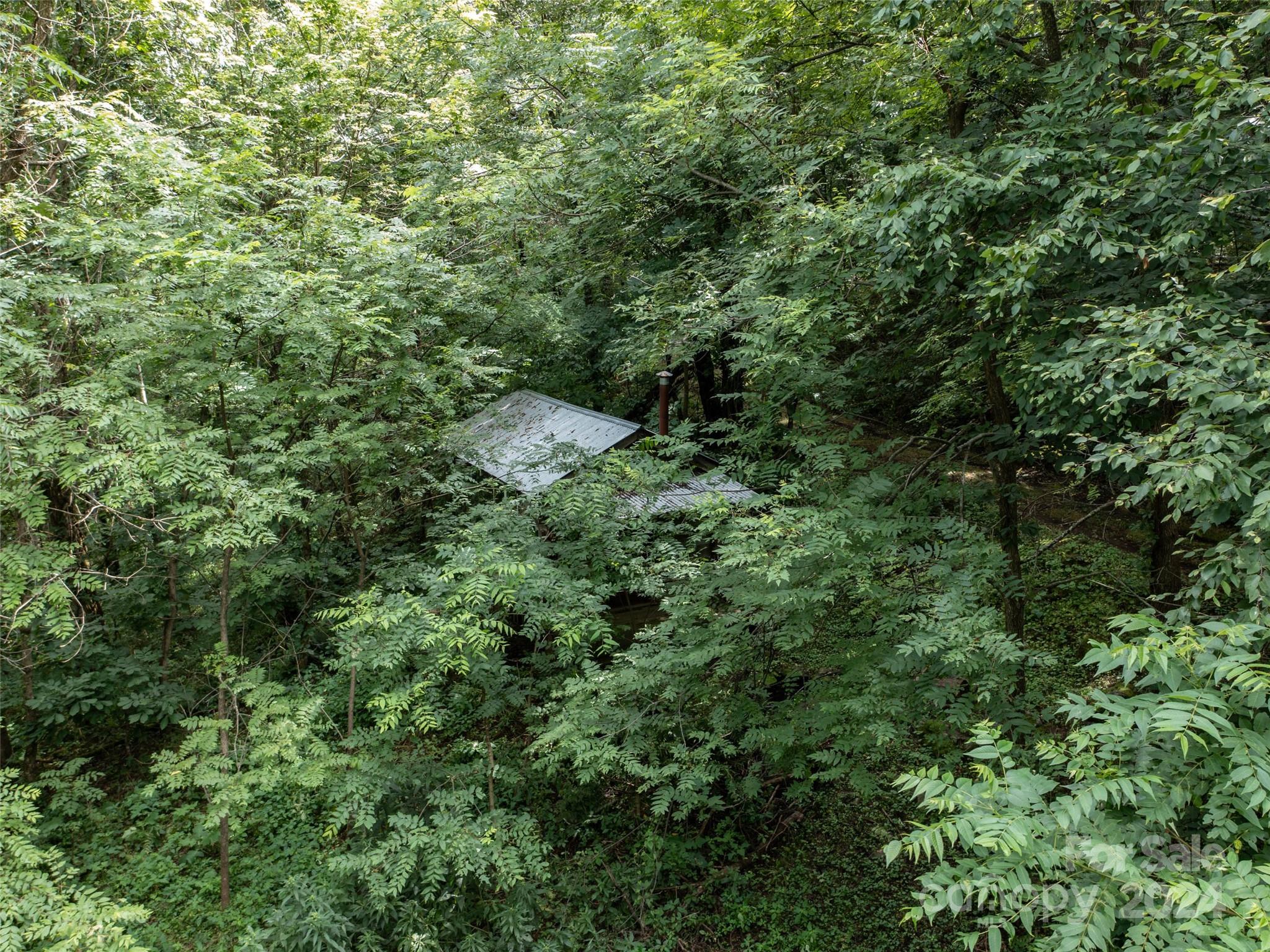 1001 Mountain Glen Road Canton, NC 28716 - Photo 5 of 47