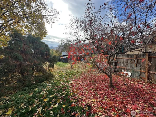 a view of a yard with plants and trees