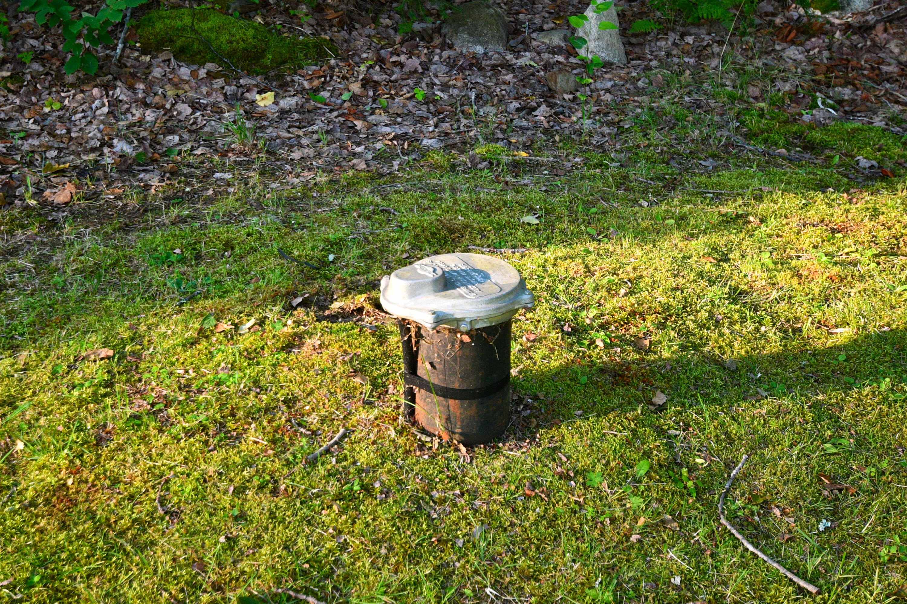 308 Stanhope Mill Road Lincoln, ME 04457 - Photo 40 of 43 True Artesian Well
