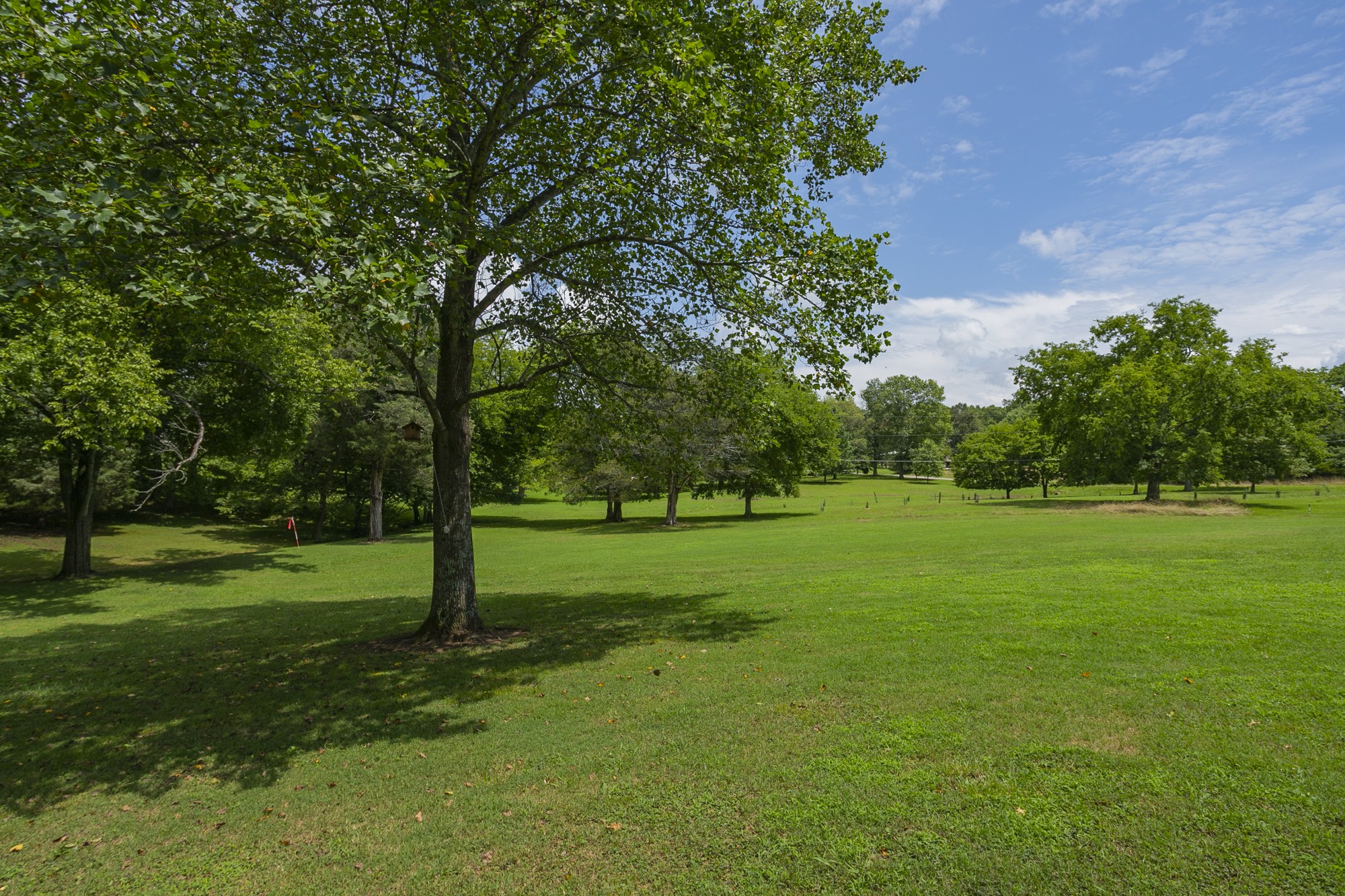 1249 Lock 4 Road Gallatin, TN 37066 - Photo 43 of 49 a view of a trees in a park