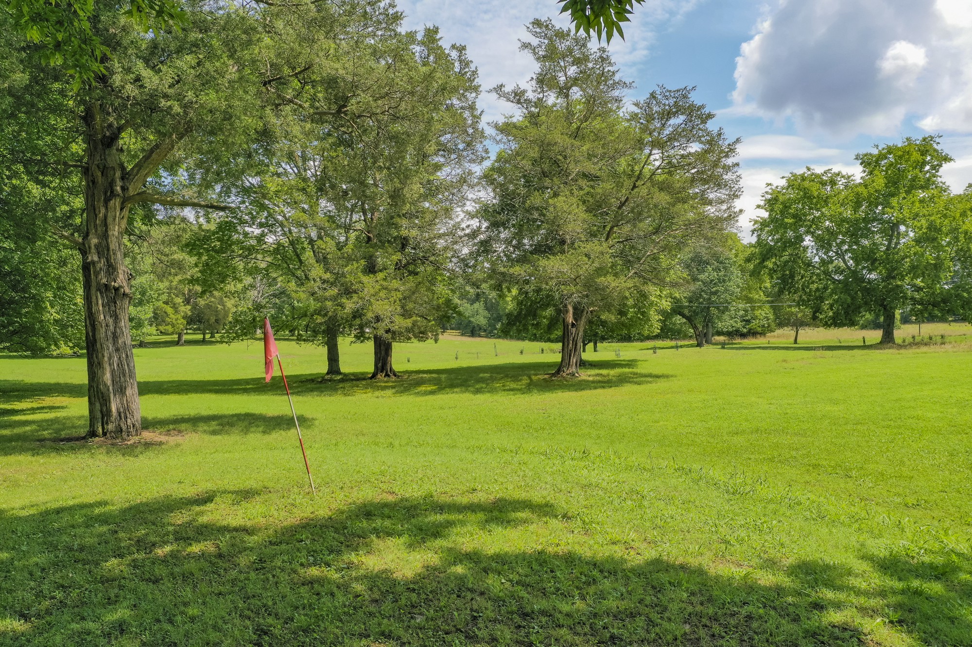 1249 Lock 4 Road Gallatin, TN 37066 - Photo 44 of 49 a view of a park with trees