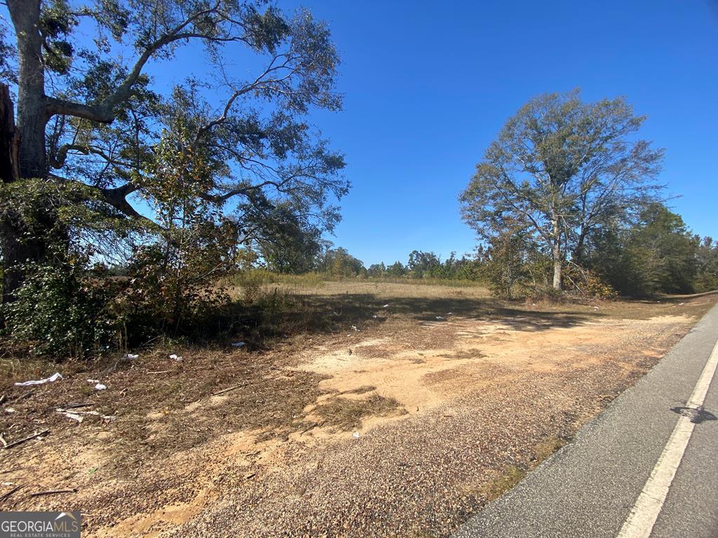 0 Thompson Pond Road Tarrytown, GA 30474 - Photo 1 of 1 a view of ocean with large trees