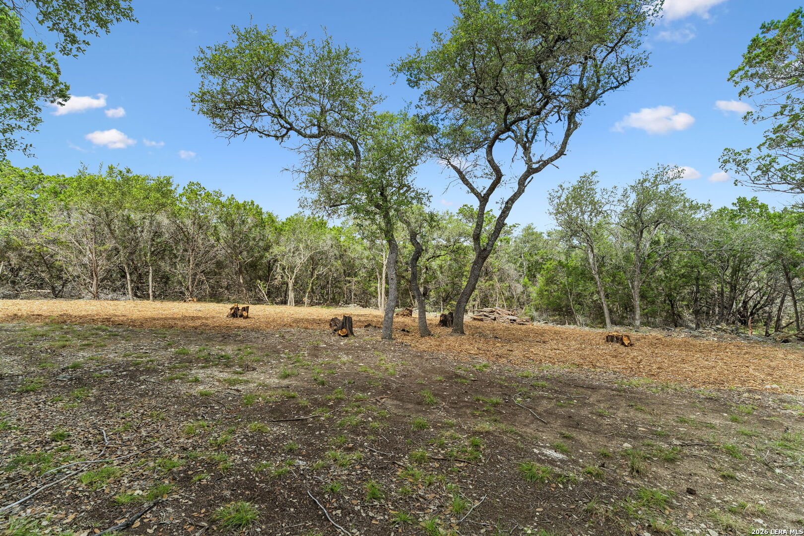 0 Stallion Estates (lot 89) Spring Branch, TX 78070 - Photo 10 of 14