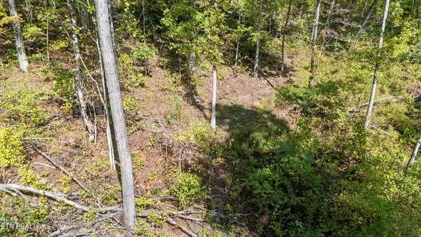 $244,900 | 560 Prospect Road, Luttrell, TN 37779