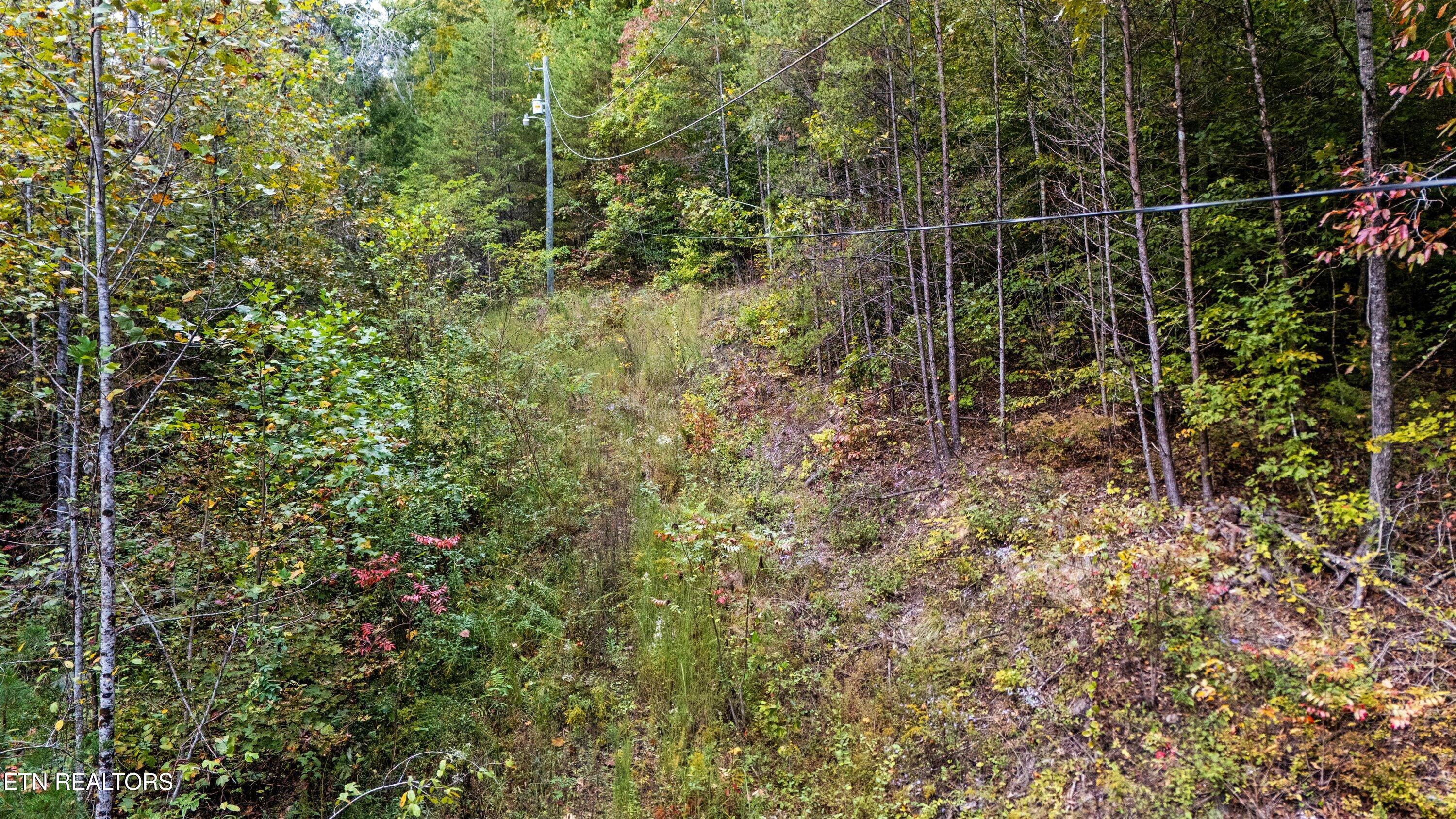 560 Prospect Road Luttrell, TN 37779 - Photo 12 of 18 09-560 Prospect Rd07