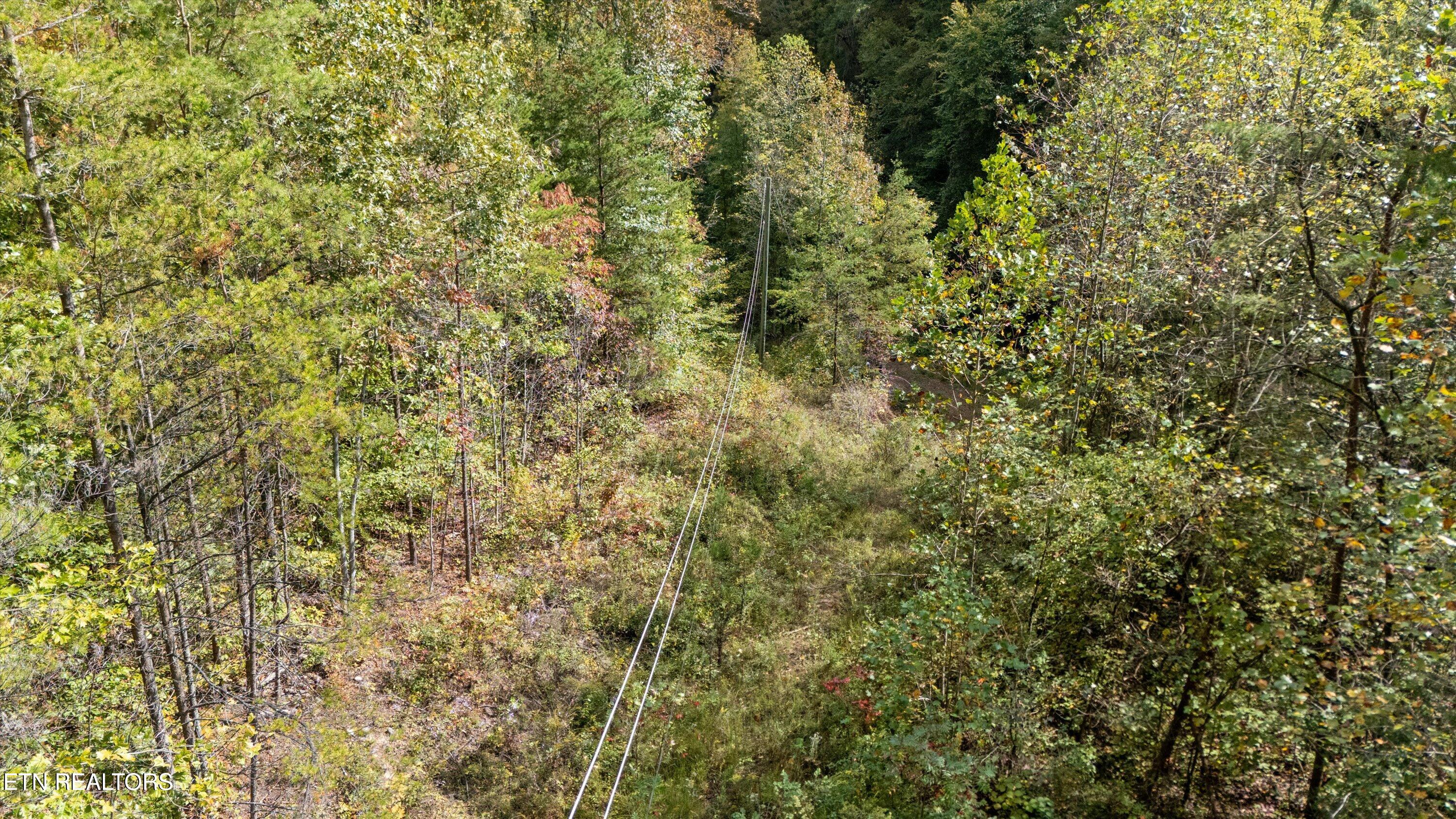 560 Prospect Road Luttrell, TN 37779 - Photo 14 of 18 07-560 Prospect Rd01