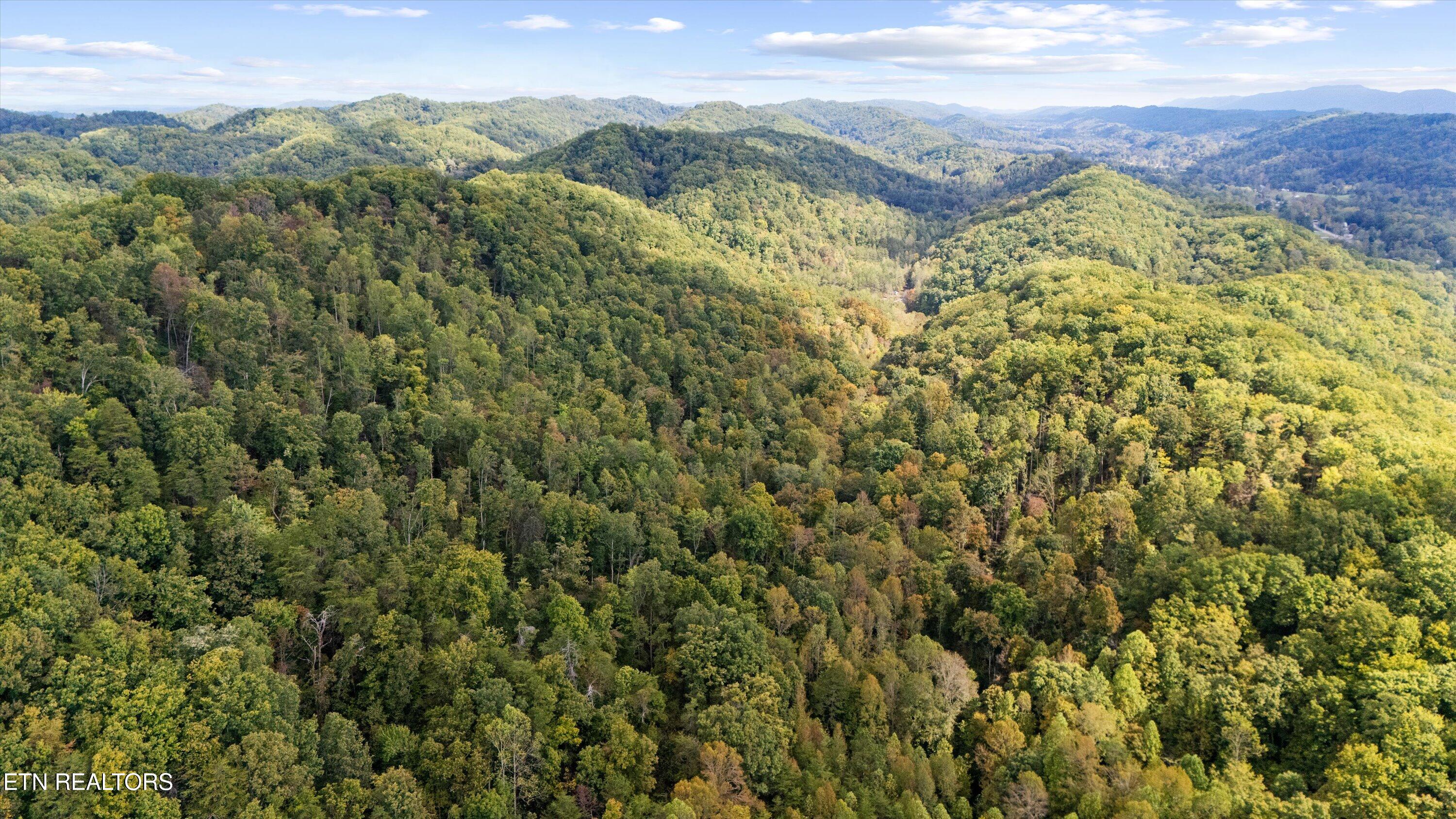 560 Prospect Road Luttrell, TN 37779 - Photo 15 of 18 08-560 Prospect Rd06