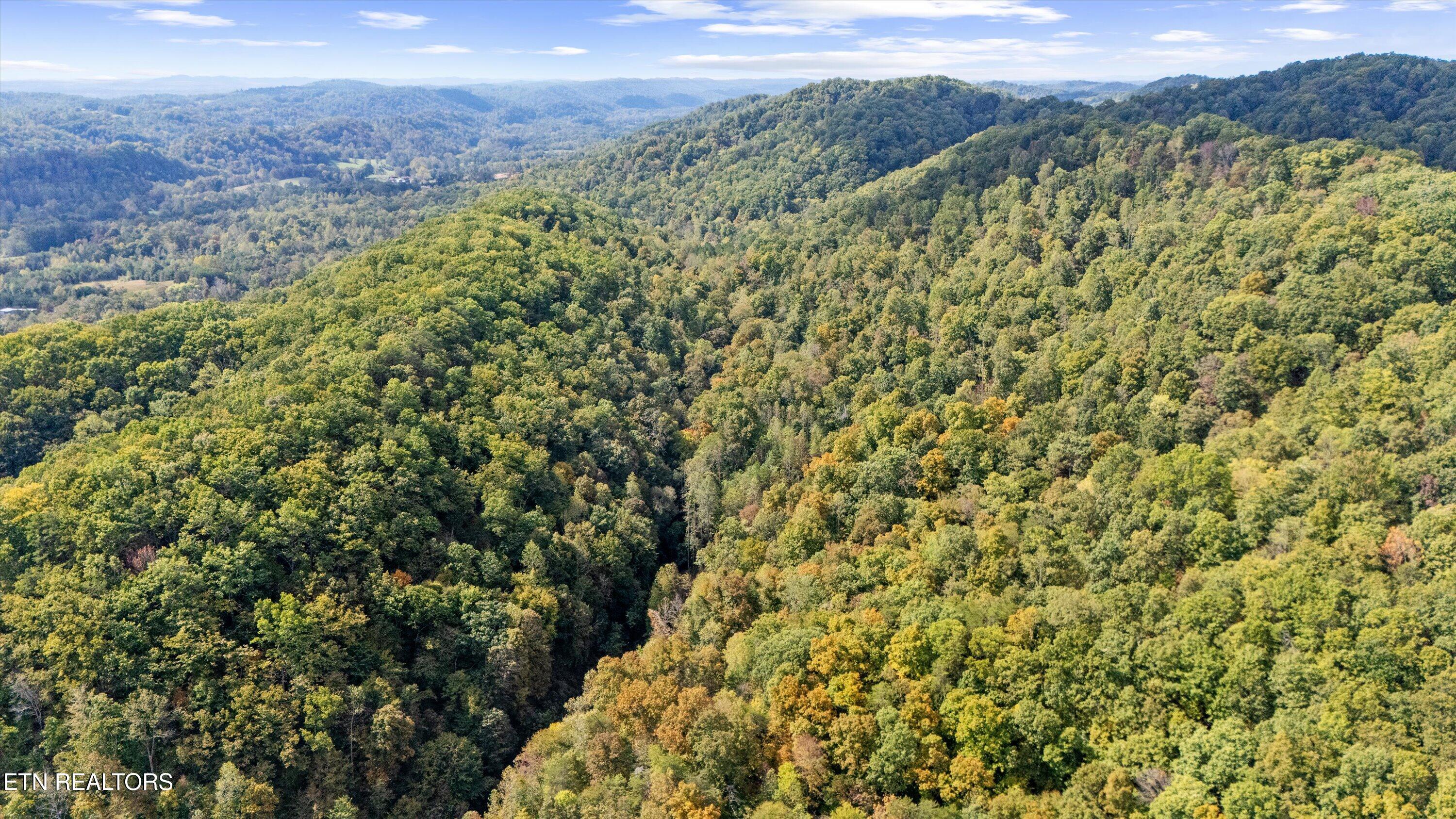 560 Prospect Road Luttrell, TN 37779 - Photo 18 of 18 01-560 Prospect Rd03