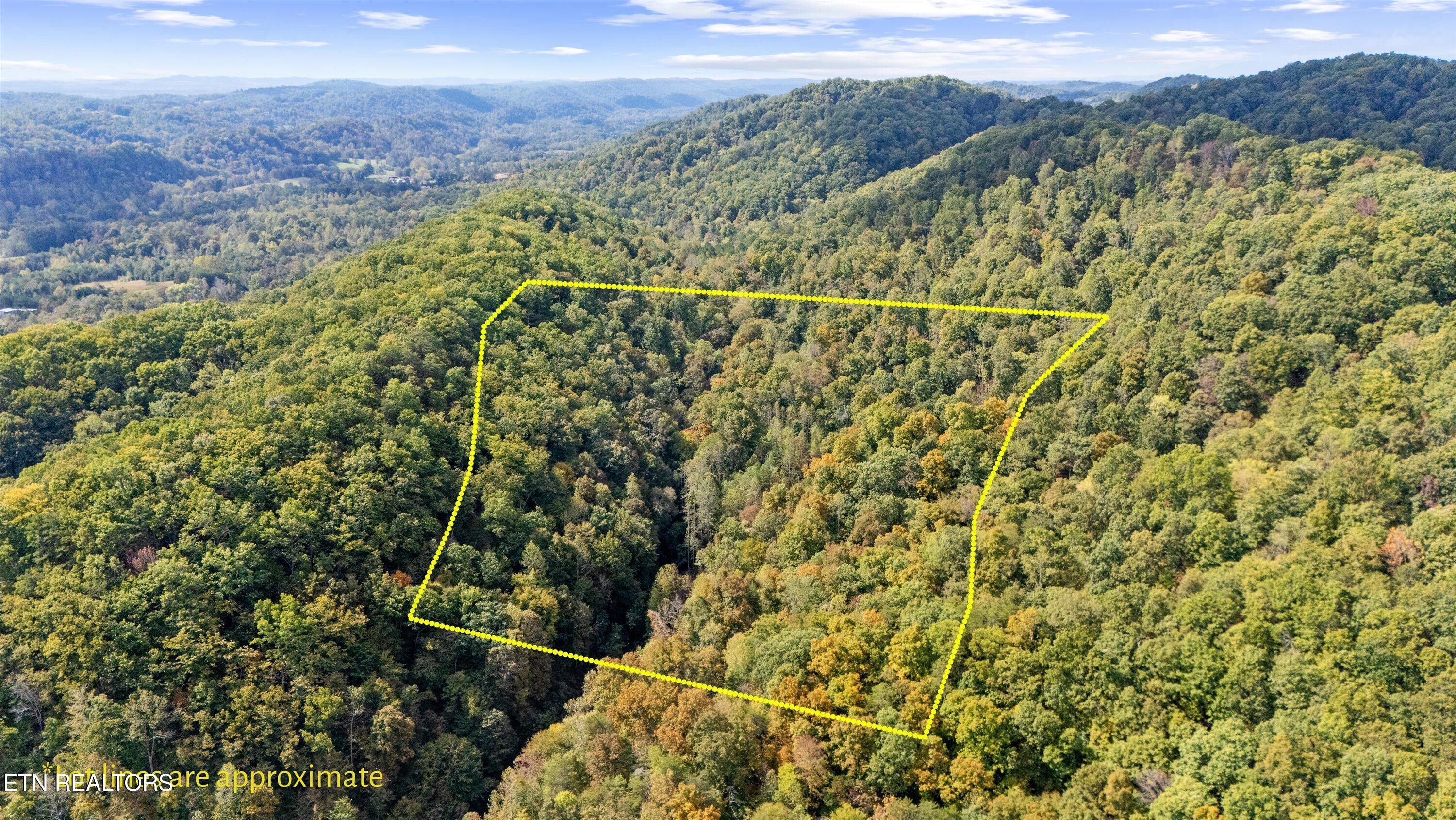 560 Prospect Road Luttrell, TN 37779 - Photo 3 of 18 03-560 Prospect Rd03