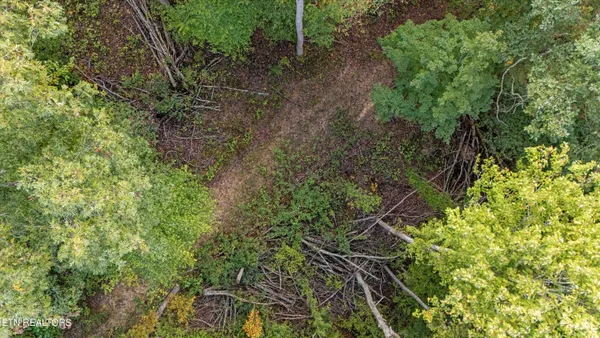 $244,900 | 560 Prospect Road, Luttrell, TN 37779