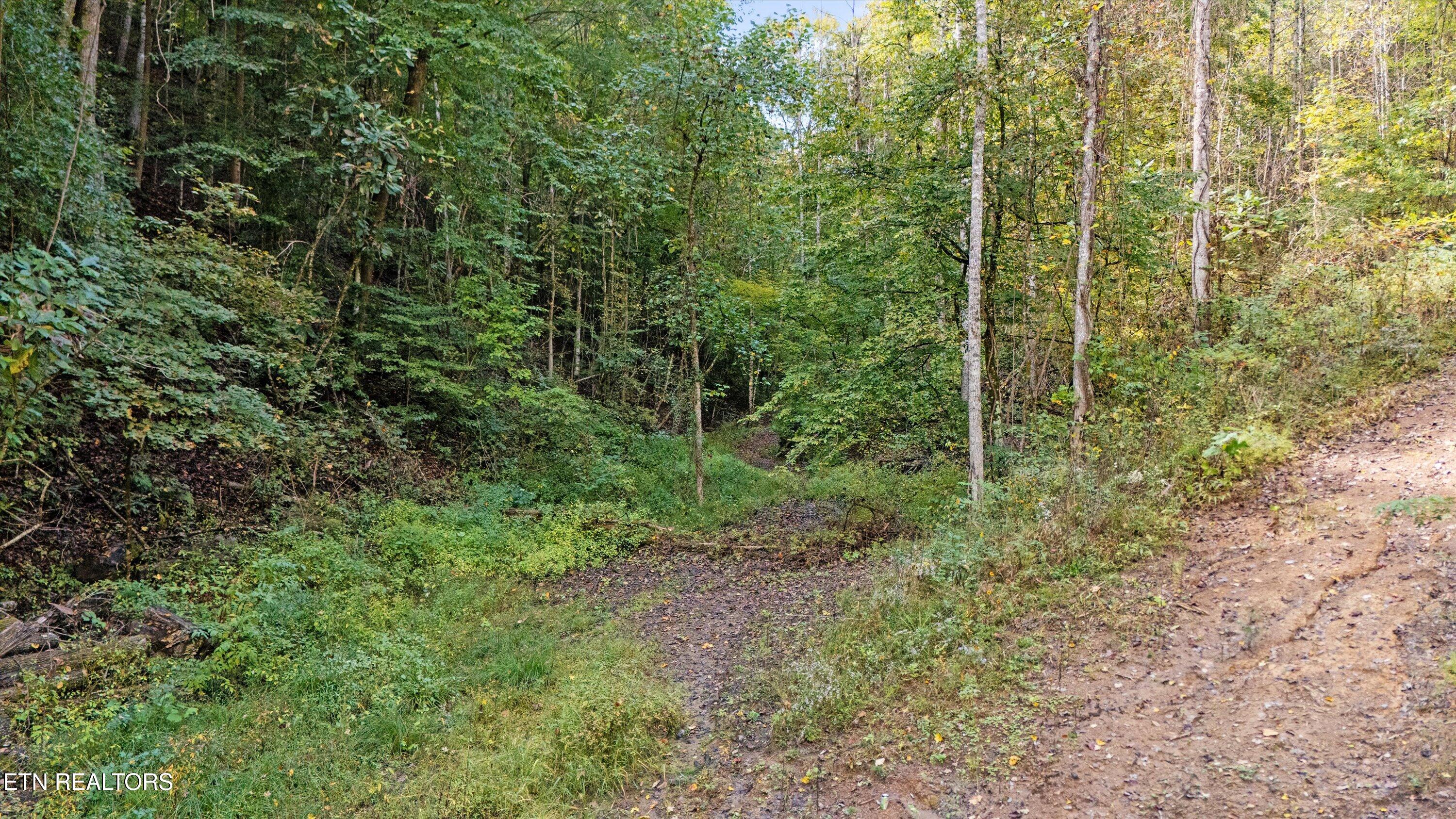 560 Prospect Road Luttrell, TN 37779 - Photo 7 of 19 18-560 Prospect Rd16