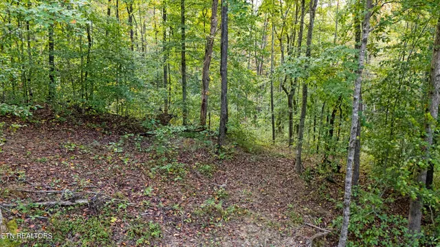 $244,900 | 560 Prospect Road, Luttrell, TN 37779