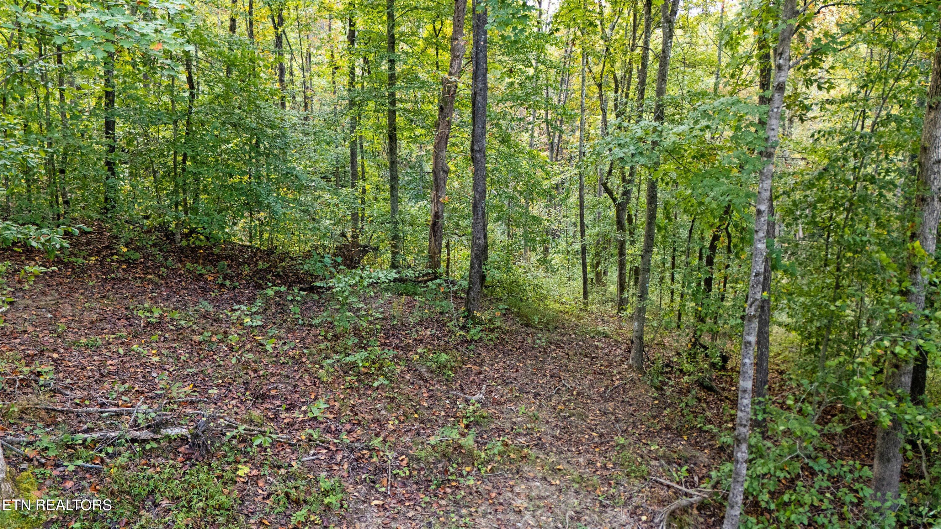 560 Prospect Road Luttrell, TN 37779 - Photo 8 of 18 13-560 Prospect Rd11