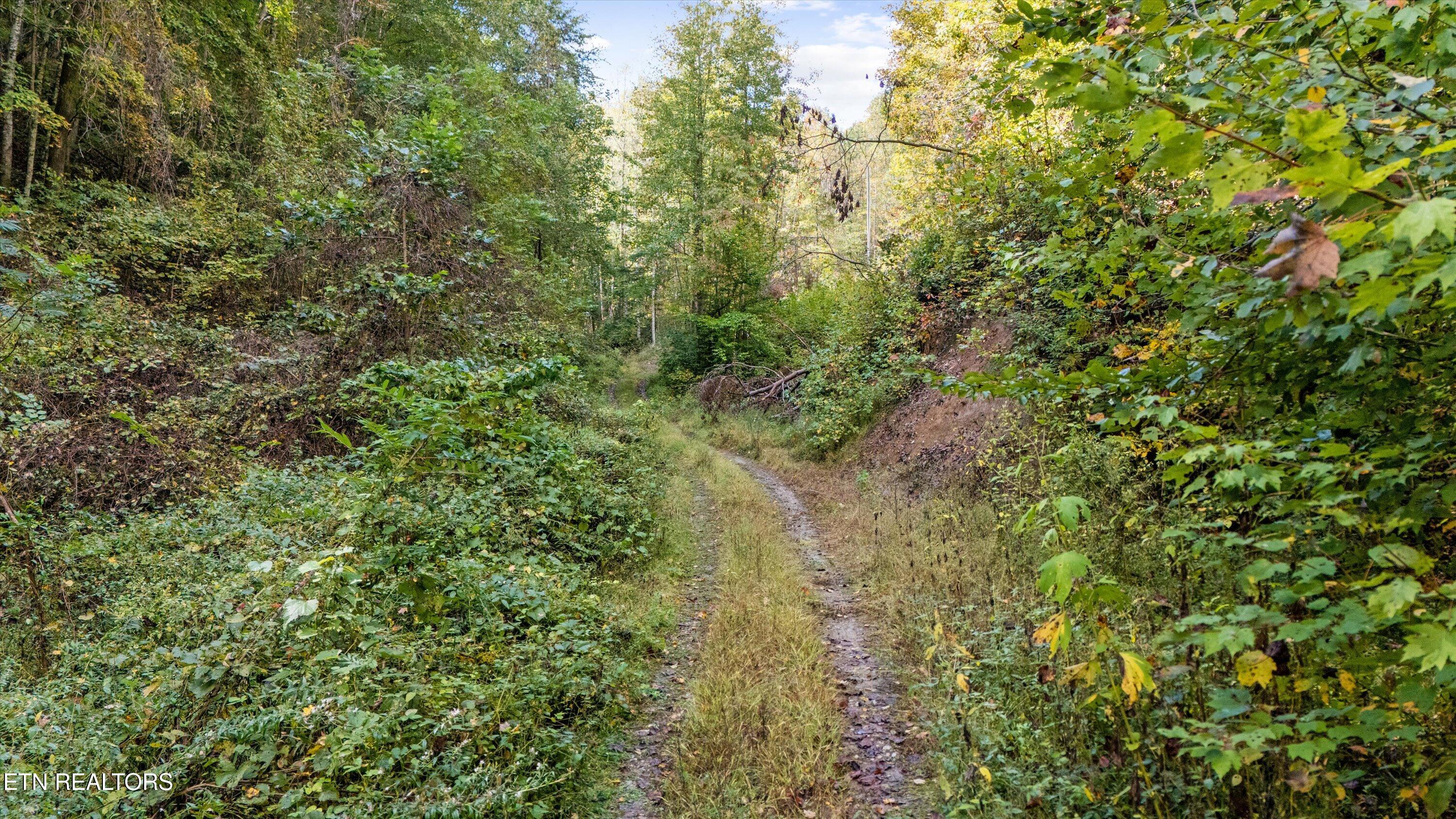 560 Prospect Road Luttrell, TN 37779 - Photo 8 of 19 19-560 Prospect Rd17