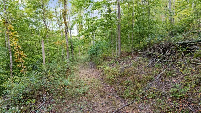 $244,900 | 560 Prospect Road, Luttrell, TN 37779