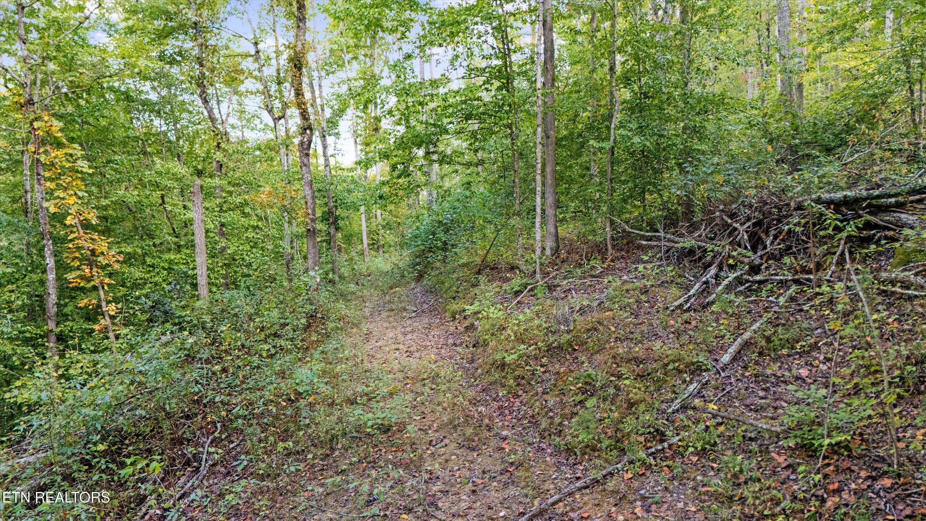 560 Prospect Road Luttrell, TN 37779 - Photo 9 of 18 14-560 Prospect Rd12