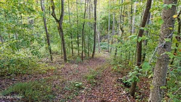 $244,900 | 560 Prospect Road, Luttrell, TN 37779