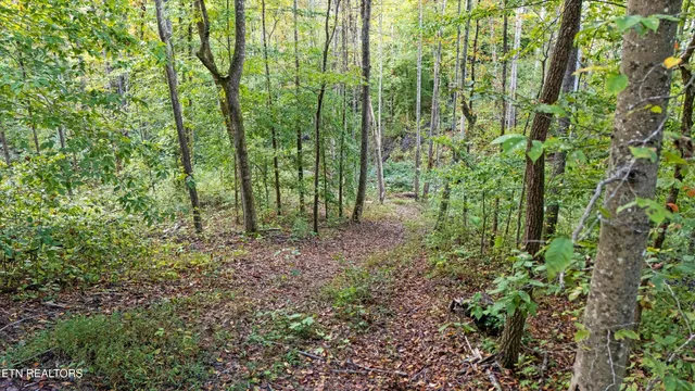 $244,900 | 560 Prospect Road, Luttrell, TN 37779