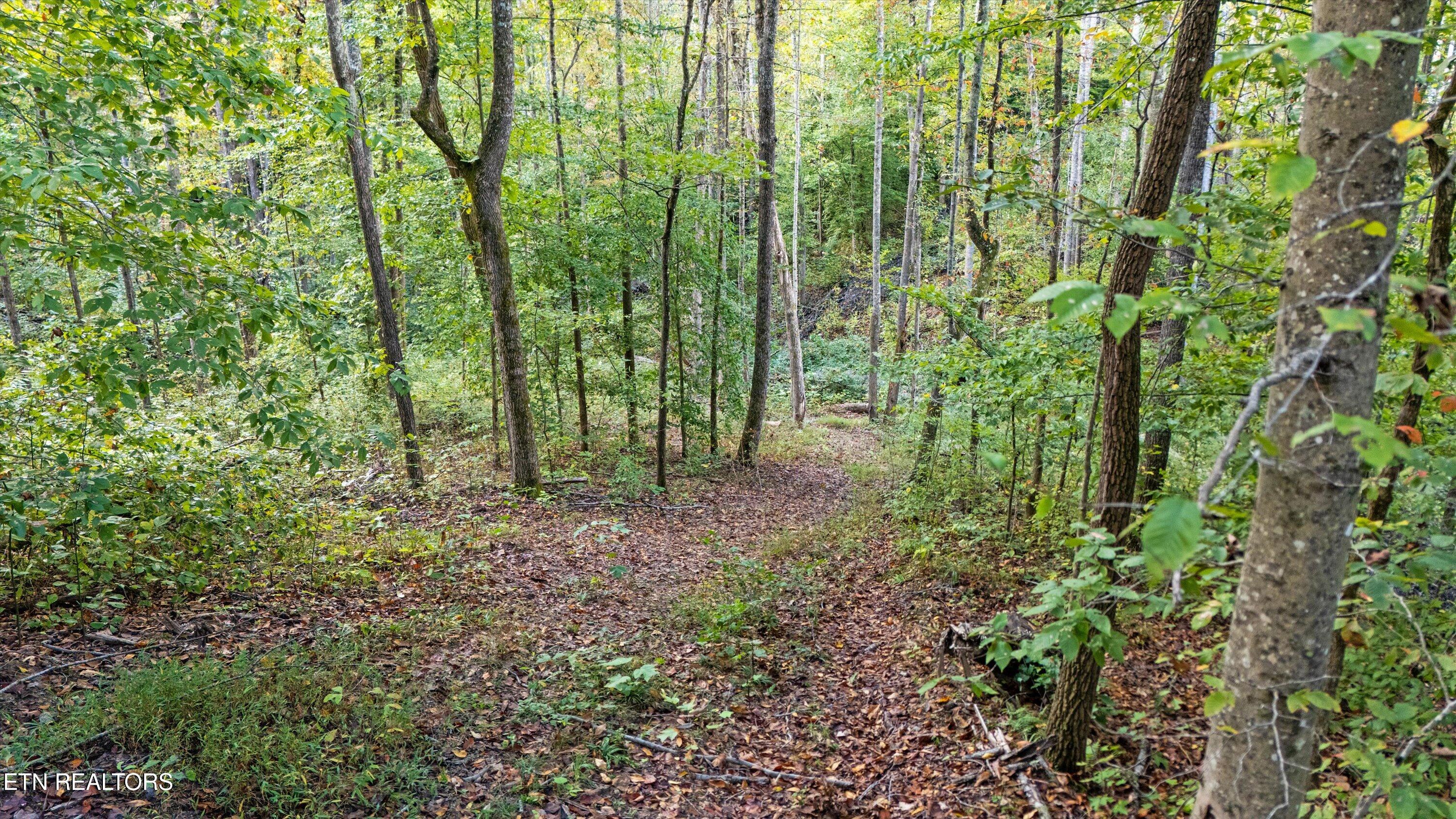 560 Prospect Road Luttrell, TN 37779 - Photo 10 of 18 15-560 Prospect Rd13