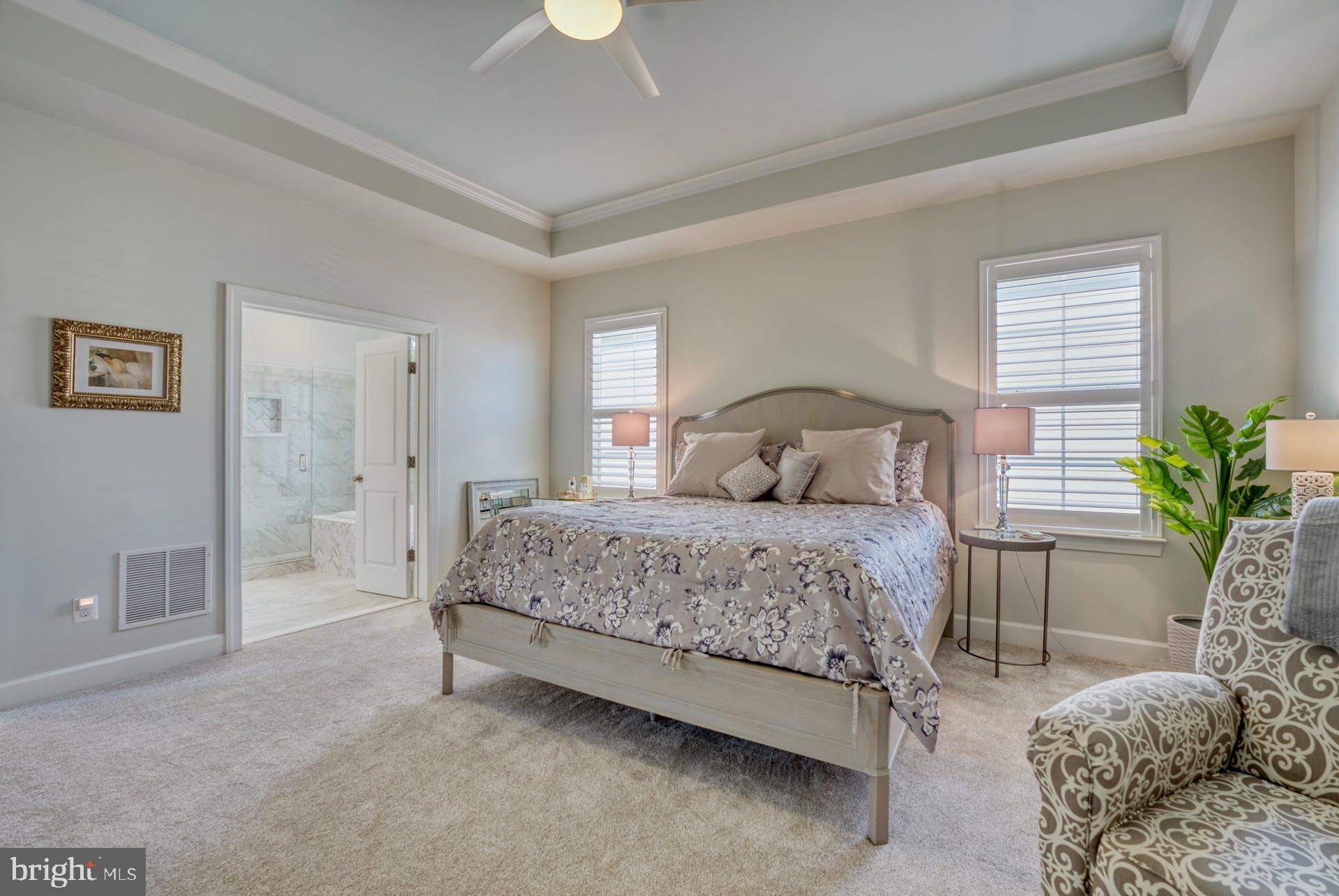 44544 Stepney Drive Ashburn, VA 20147 - Photo 17 of 53 Beautiful Tray Ceiling