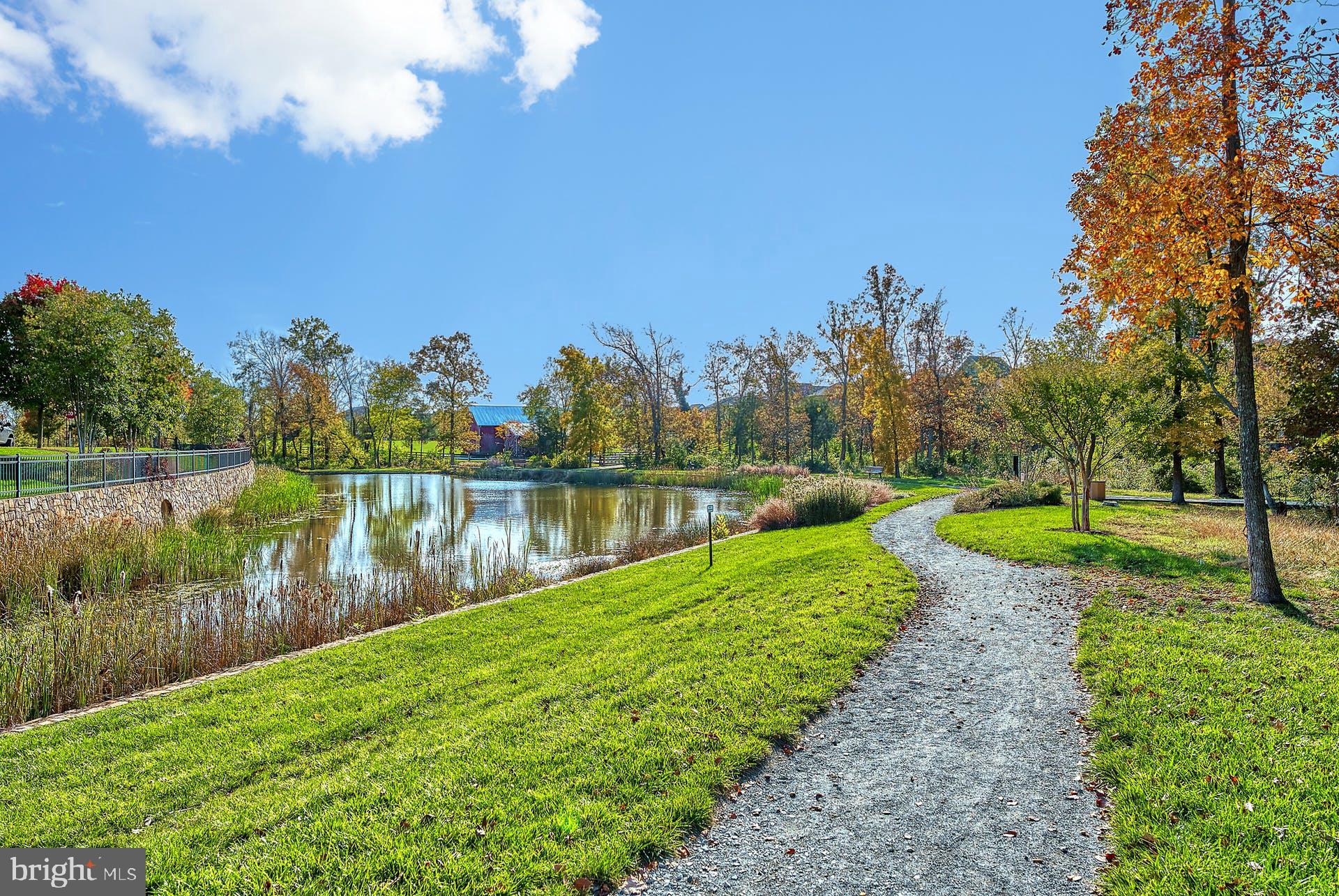 44544 Stepney Drive Ashburn, VA 20147 - Photo 51 of 53 Beautiful Walking Trails