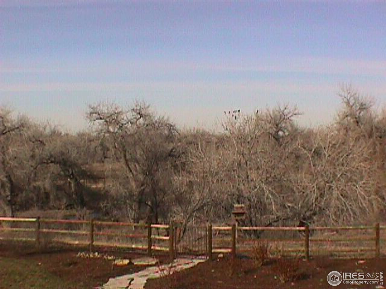 7513 Poudre River Road Greeley, CO 80634 - Photo 5 of 5 Gallery Image 5
