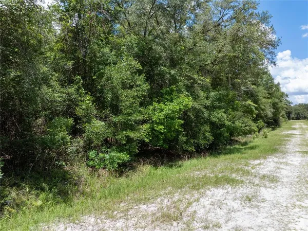 $125,000 | 53 Southwest Roanoke Terrace, Fort White, FL 32038