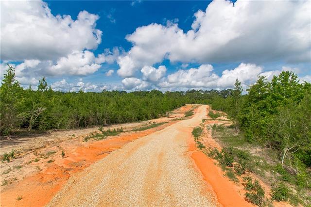 2 436th Highway Angie, LA 70426 - Photo 15 of 19
