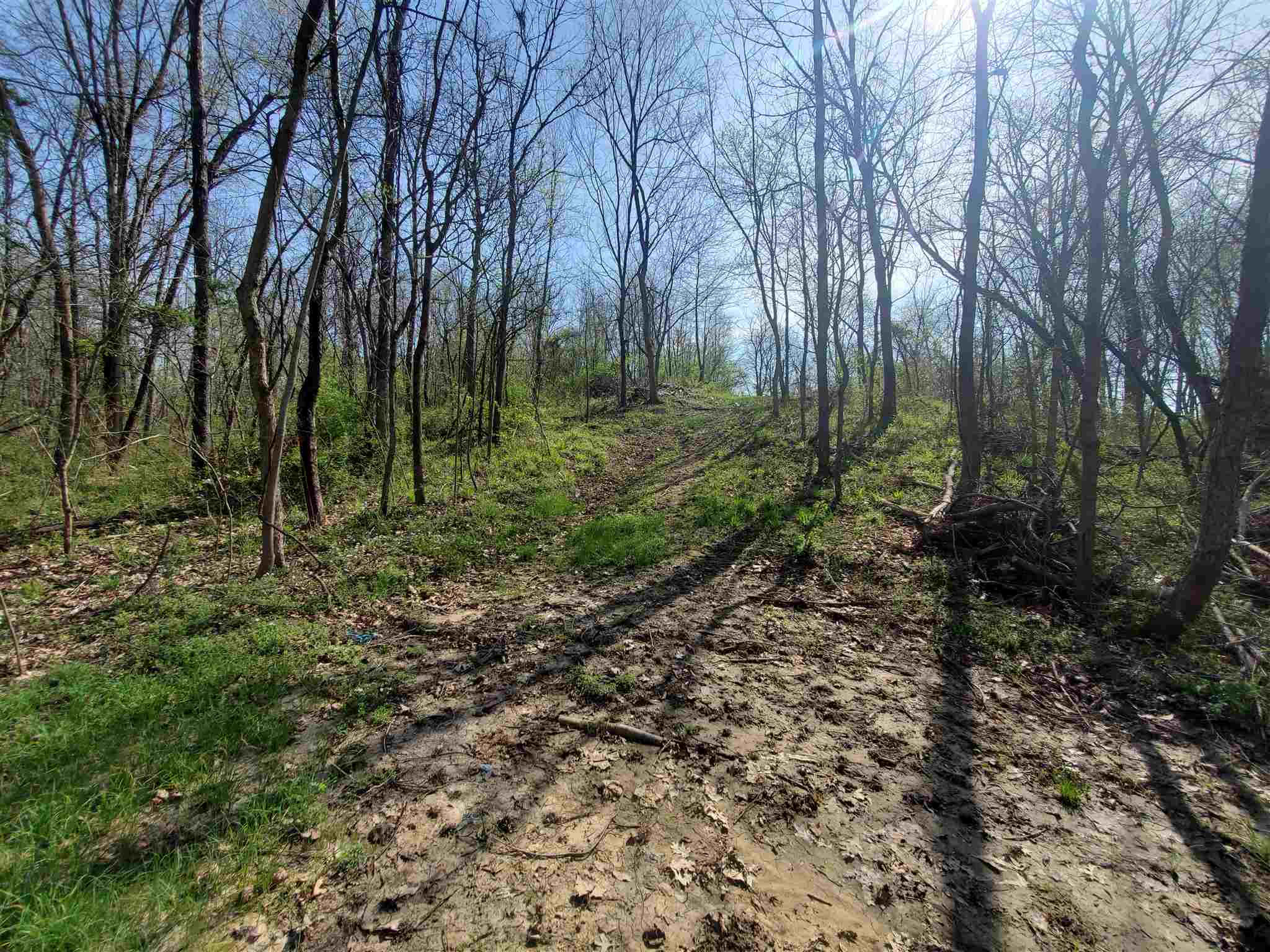 5343 Landmark Road Iuka, IL 62849 - Photo 2 of 6