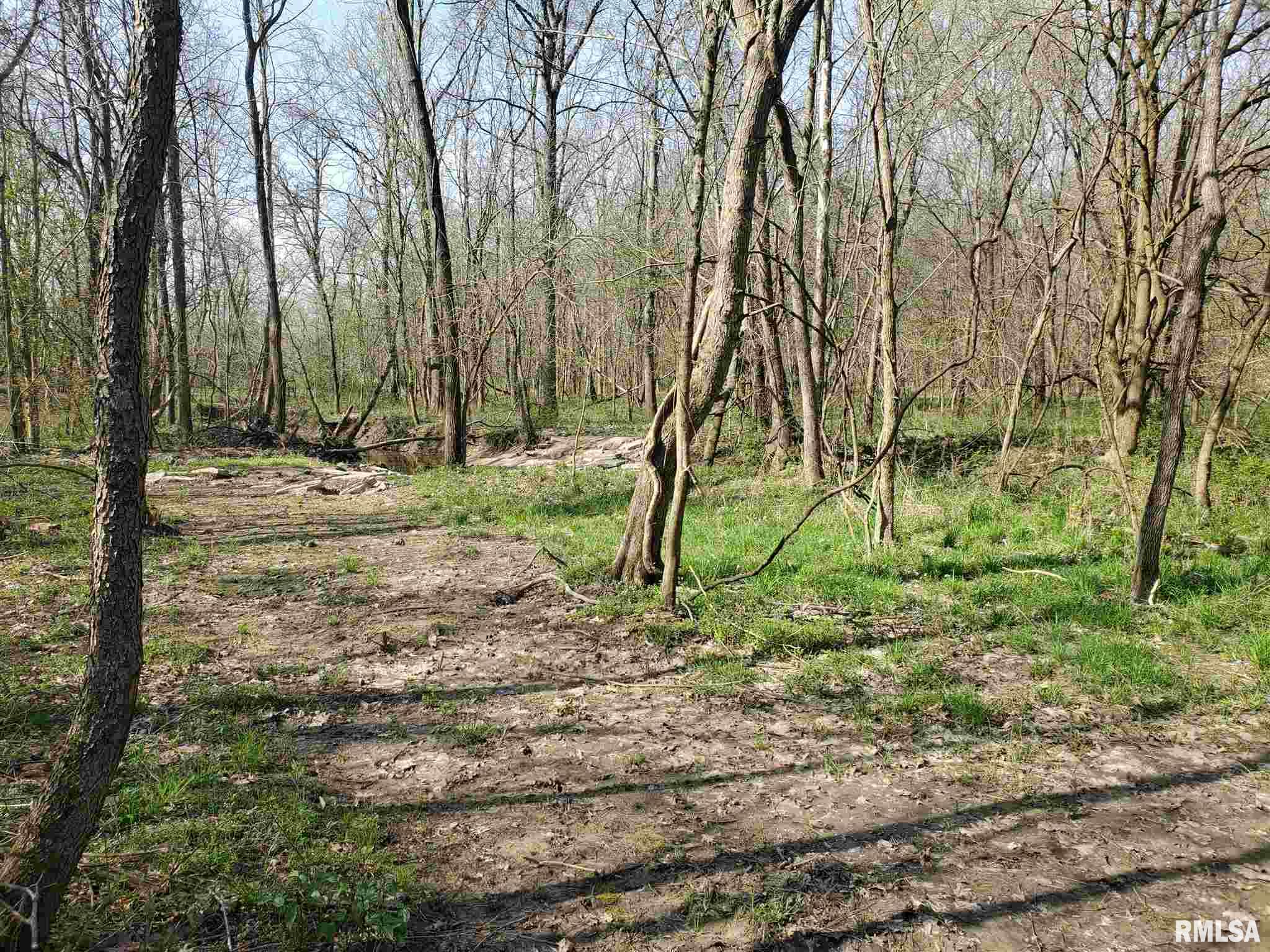 5343 Landmark Road Iuka, IL 62849 - Photo 3 of 6
