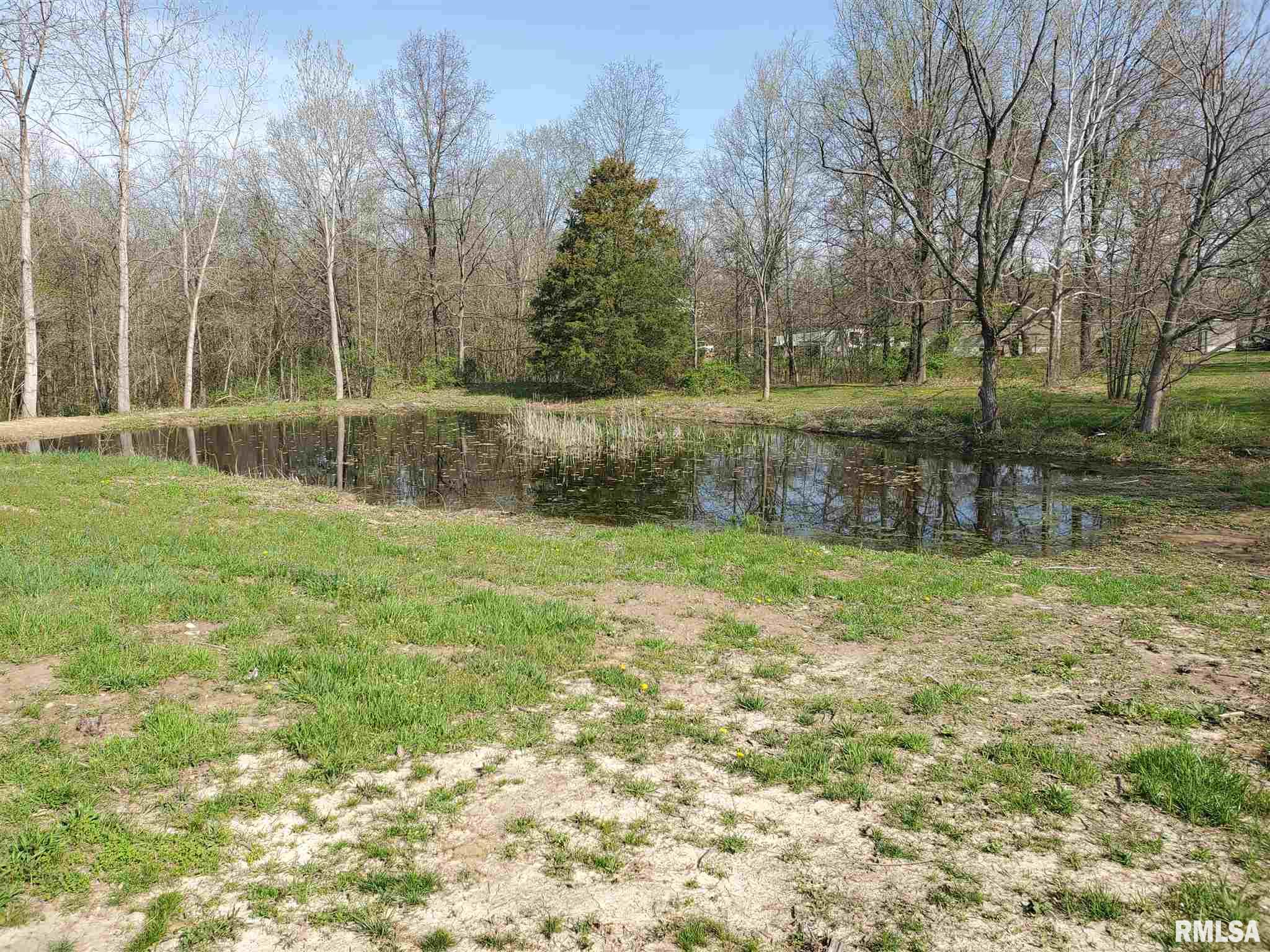5343 Landmark Road Iuka, IL 62849 - Photo 4 of 6