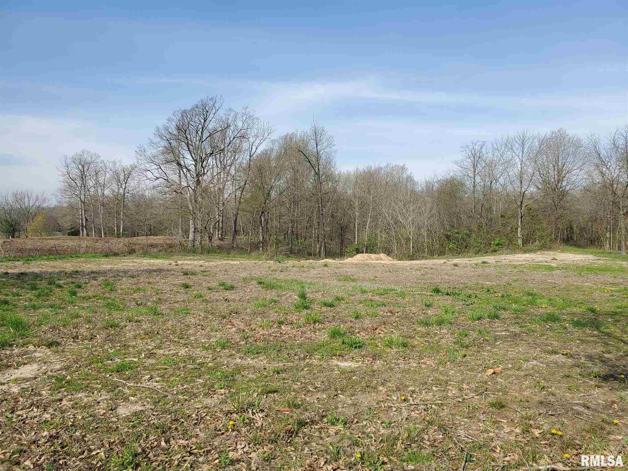 5343 Landmark Road Iuka, IL 62849 - Photo 5 of 6