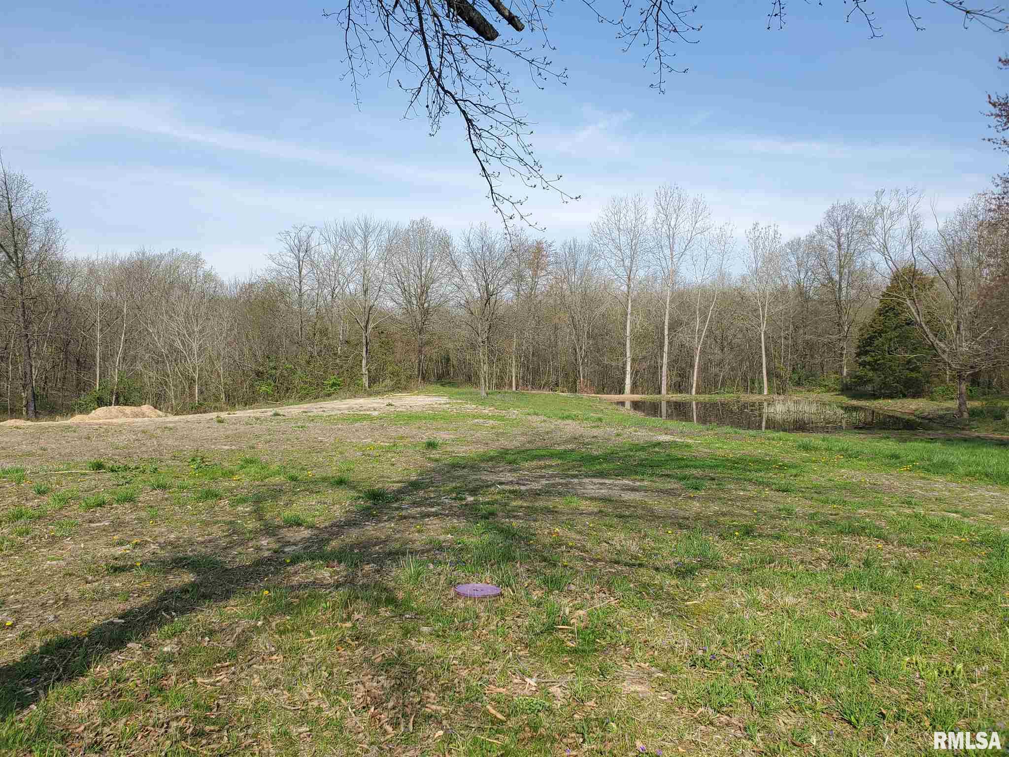 5343 Landmark Road Iuka, IL 62849 - Photo 6 of 6
