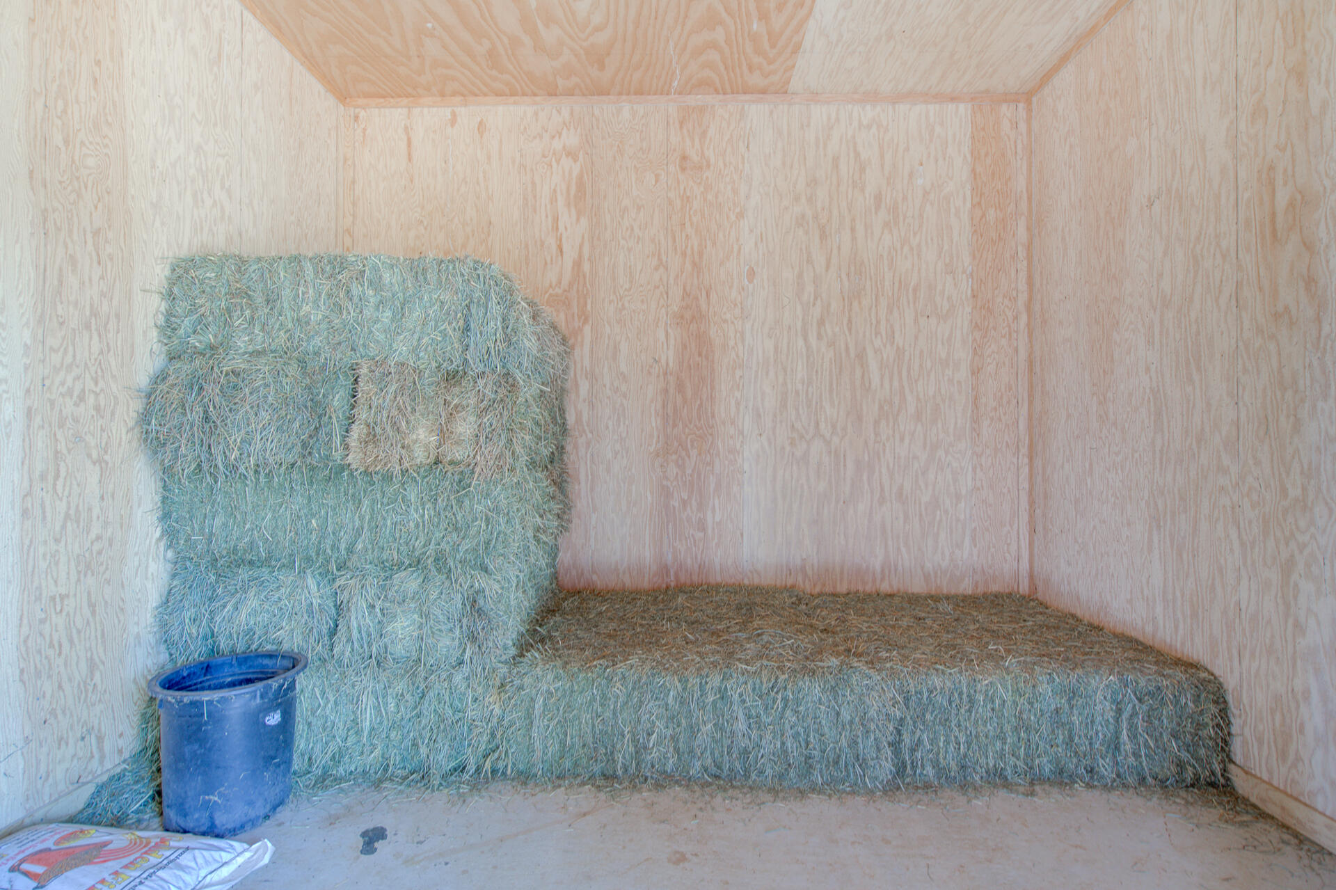 21151 Ridge Road Hat Creek, CA 96040 - Photo 60 of 68 21151RidgeRoadStills-60