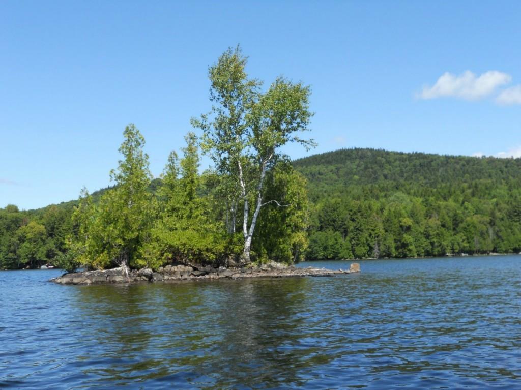 0 Allagash Road Beaver Cove, ME 04441 - Photo 6 of 8 Island with back ground of lot...