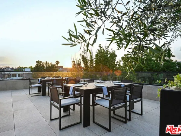 a view of a patio with couches and a potted plant on a table