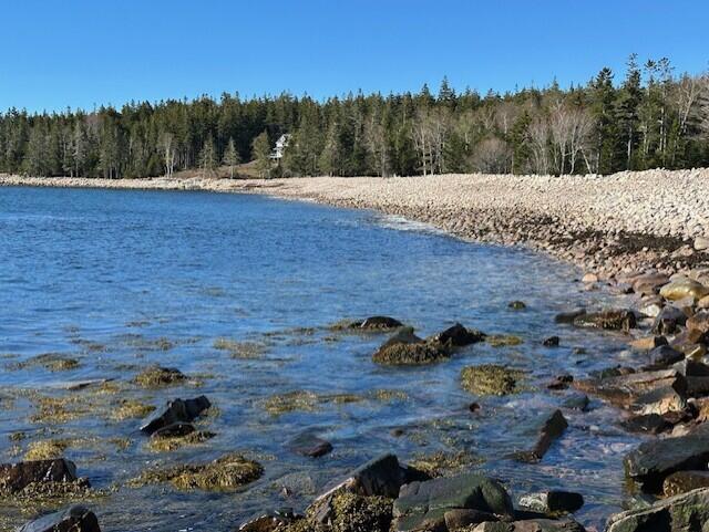 180 Red Point Road Swans Island, ME 04685 - Photo 13 of 42 Red Pic 7
