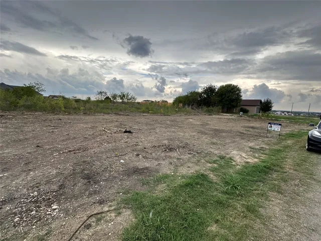 a view of dirt yard with a large tree