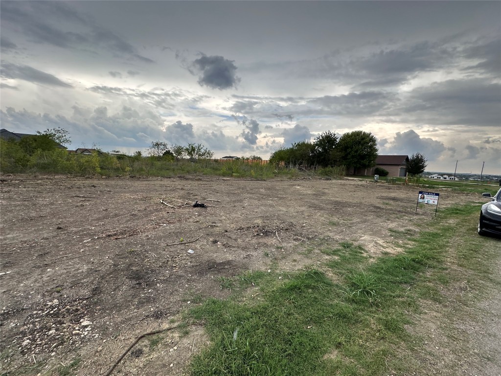 350 Engelke Road Niederwald, TX 78640 - Photo 2 of 9 a view of dirt yard with a large tree