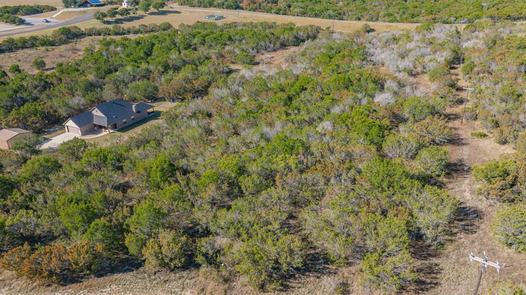2280 Compass Way Bluff Dale, TX 76433 - Photo 12 of 40 a view of a forest with a street