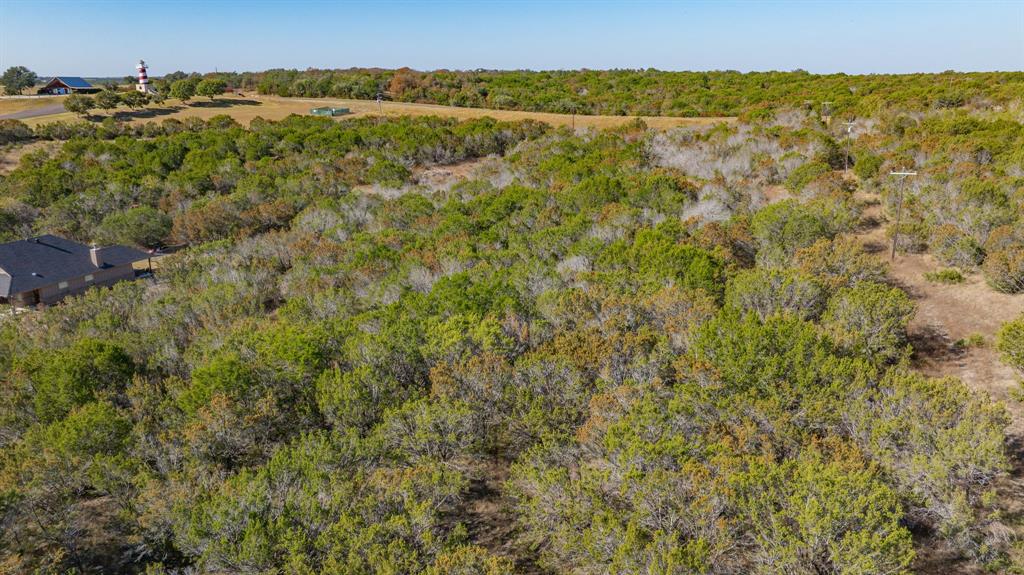 2280 Compass Way Bluff Dale, TX 76433 - Photo 13 of 40 a view of a green field
