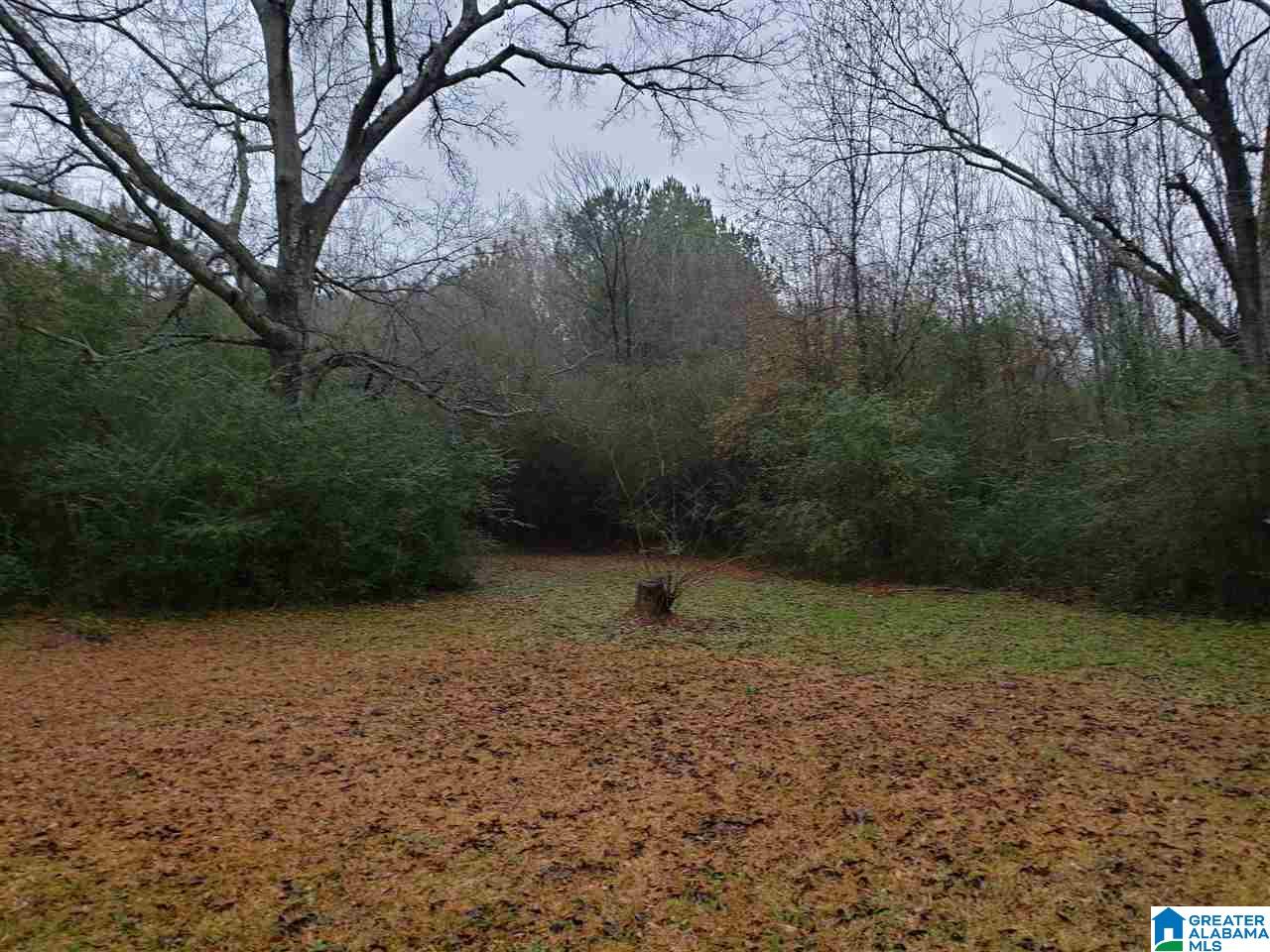 1625 Stemley Bridge Road, Unit 1 Talladega, AL 35160 - Photo 5 of 10