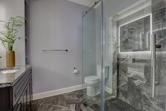 a bathroom with a shower and a toilet