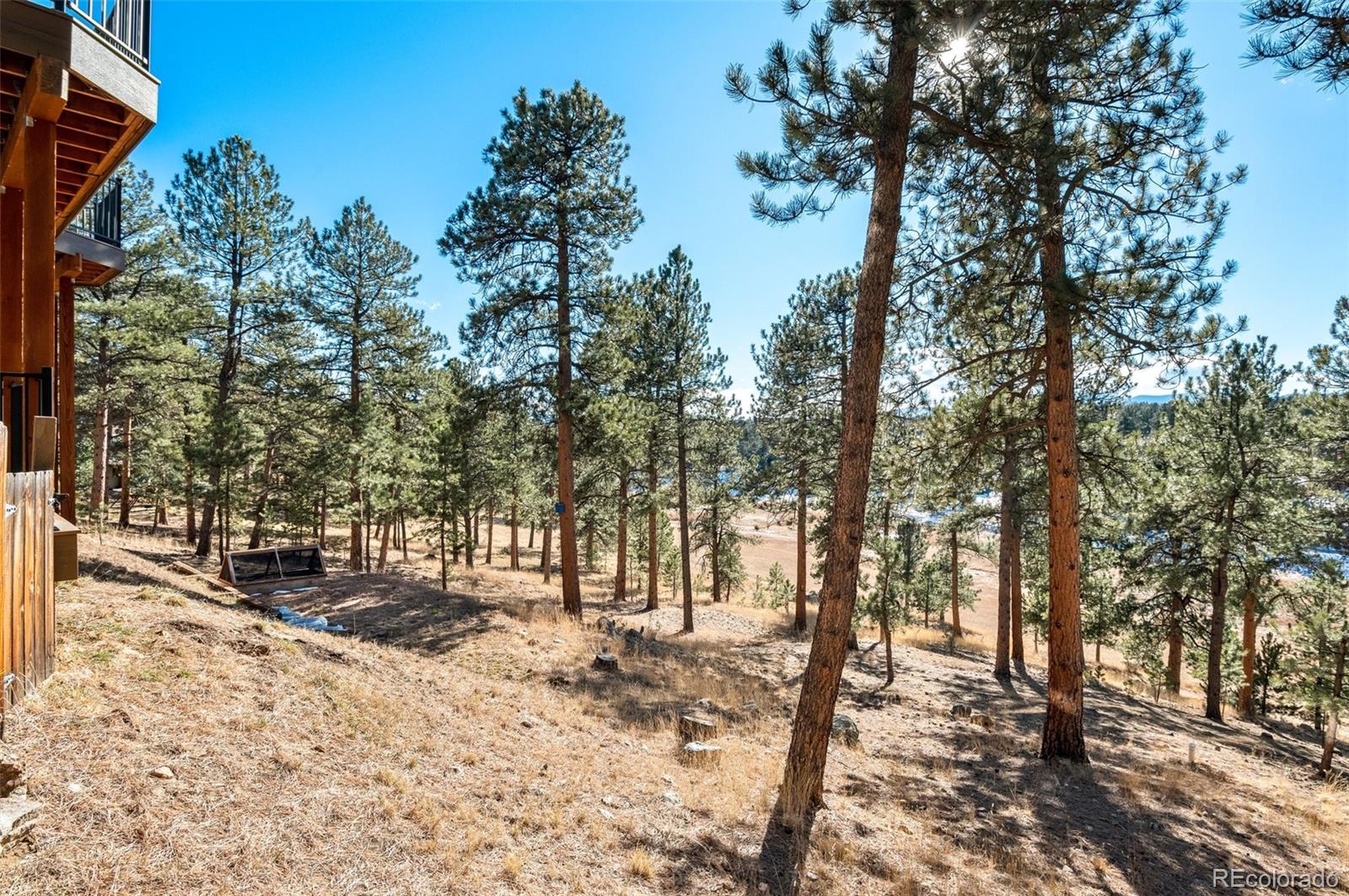 30754 Stratton Court Evergreen, CO 80439 - Photo 36 of 40 a view of outdoor space with yard