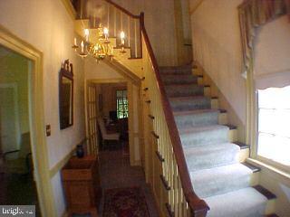 3955 Jesterville Road Tyaskin, MD 21865 - Photo 3 of 10