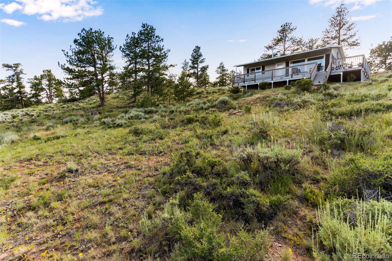 434 Caddo Road Red Feather Lakes, CO 80545 - Photo 35 of 37